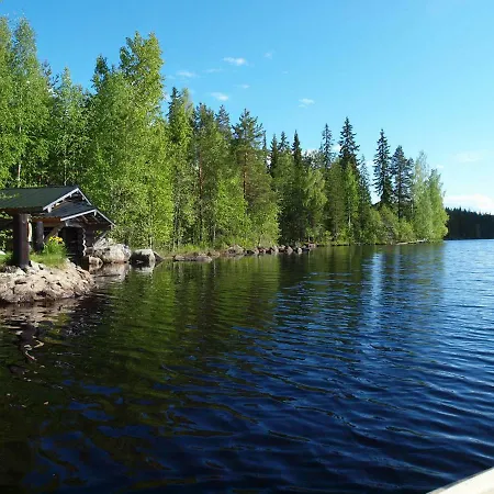 Koivukallio